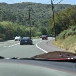 DSC_0186_01 (May 16, 2020)